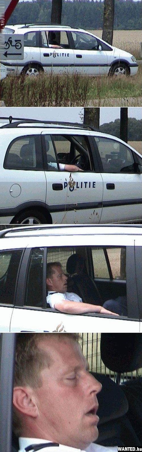 WANTED.hu-4.jpg