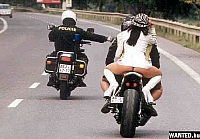 Vicces, humoros �s �rdekes k�pek rend�r�kr�l a nagyvil�gb�l 