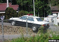 WANTED.hu-7.jpg